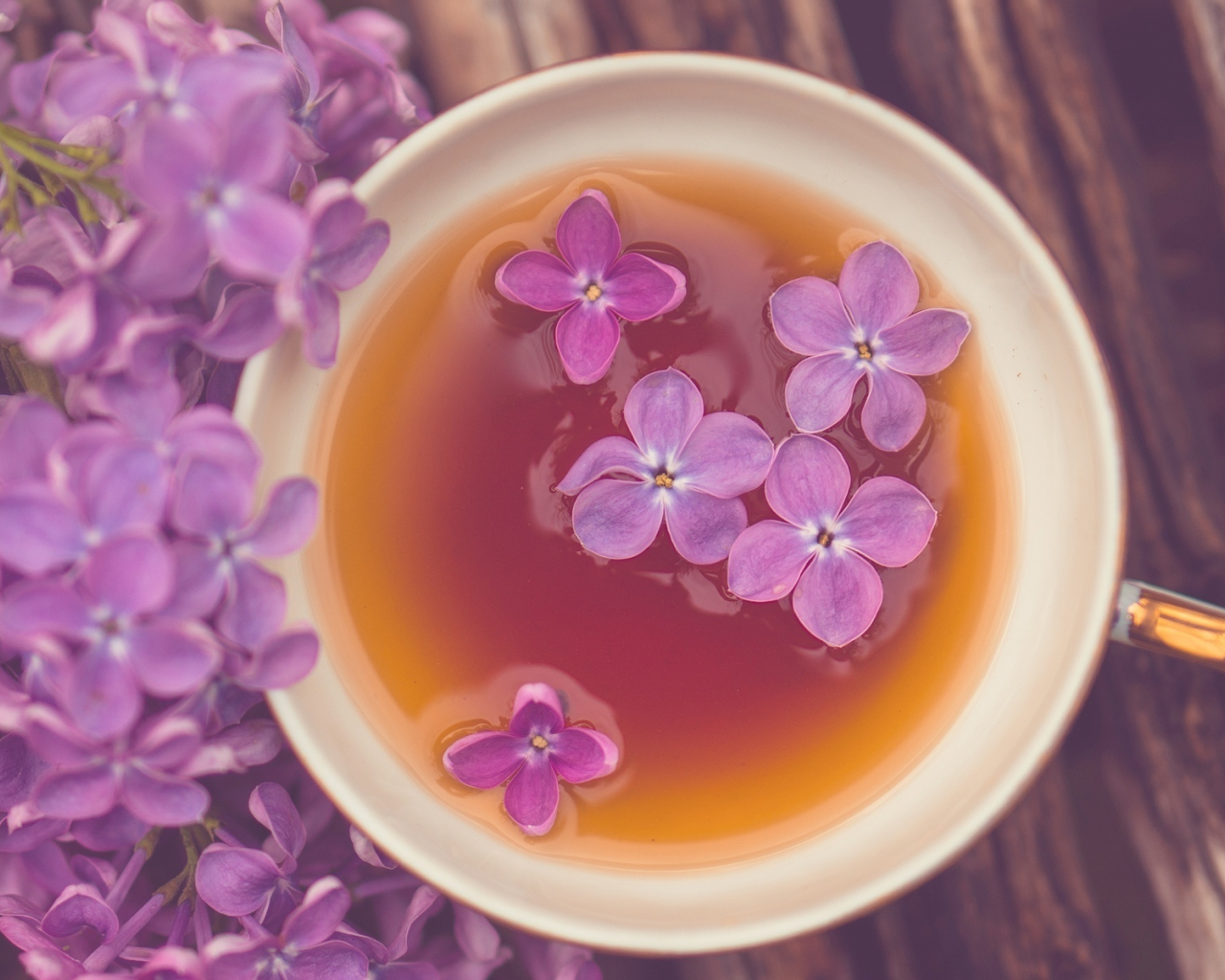 цветы, чай, кружка, фиолетовый, чашка, настроения