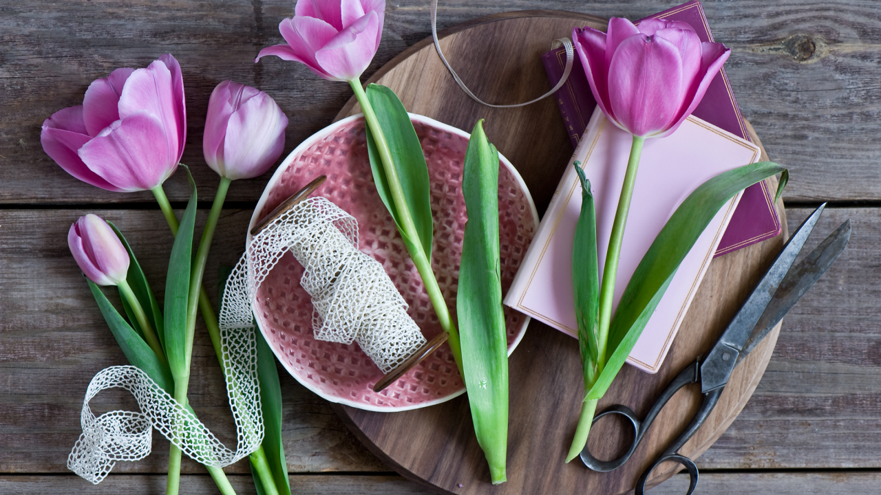 ножницы, лента, цветы, тюльпаны, розовые
