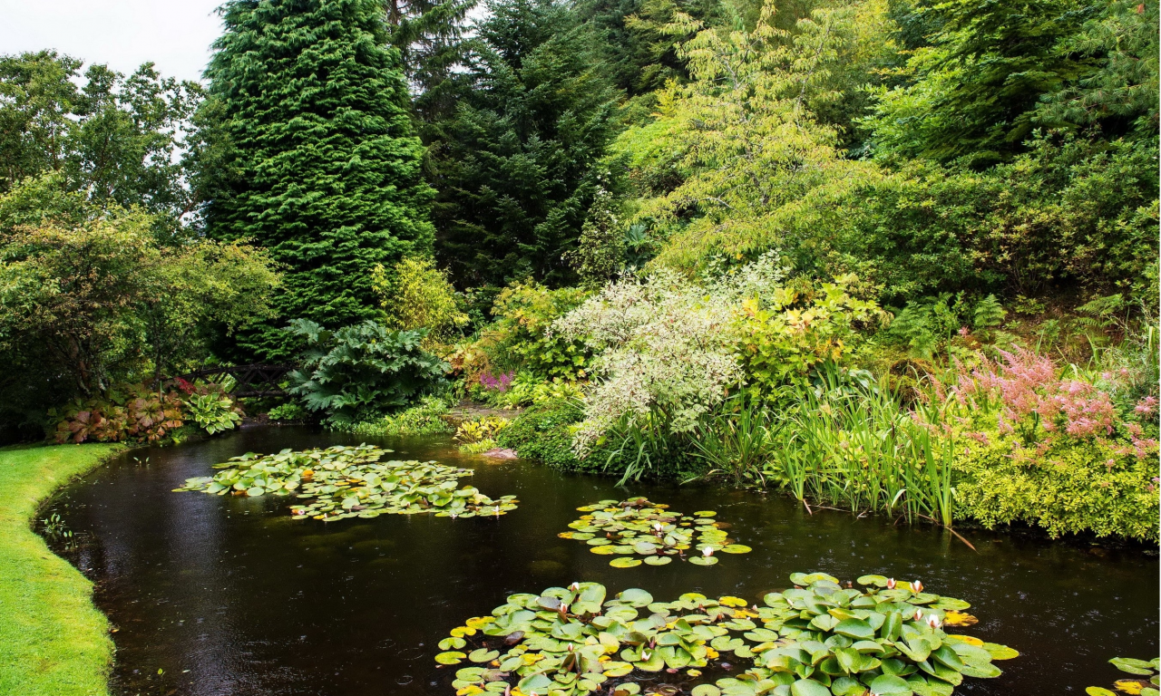 природа, парк, attadale, gardens, strathcarron, scotland