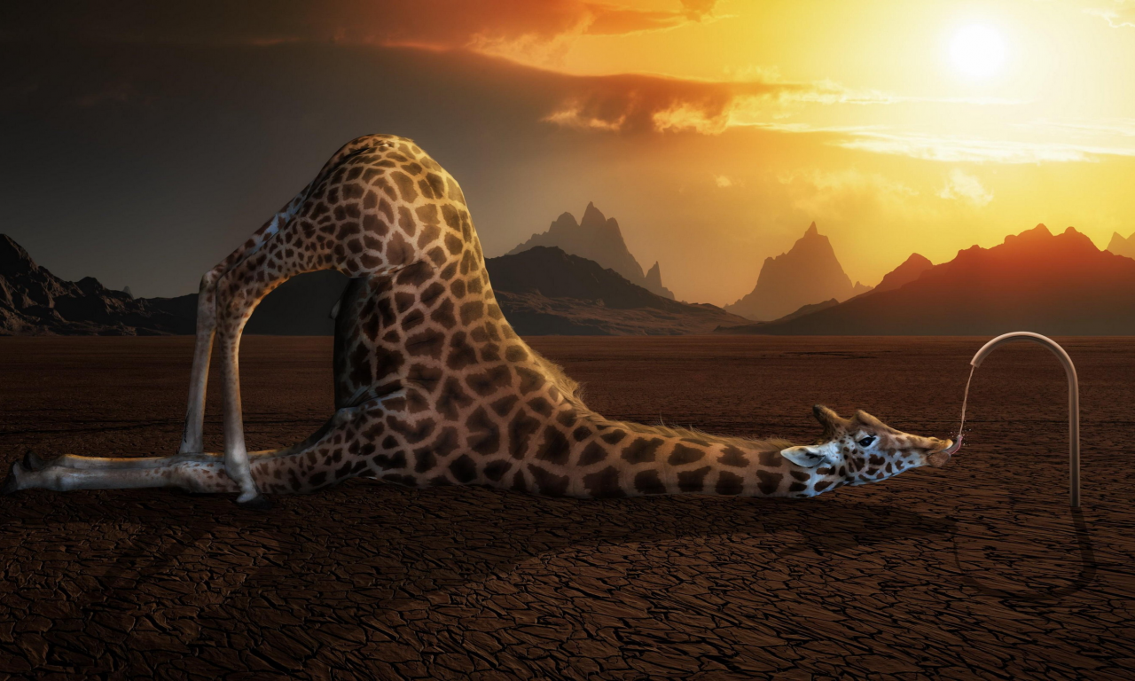Жираф в пустыне, не дай себе засохнуть, юмор