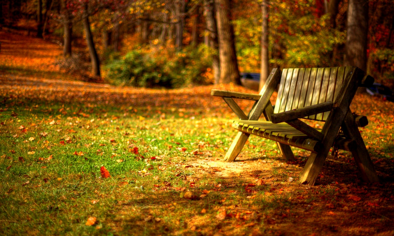 trees, road, листья, autumn, grass, park, forest, colors, leaves, hdr, nature, bench, walk