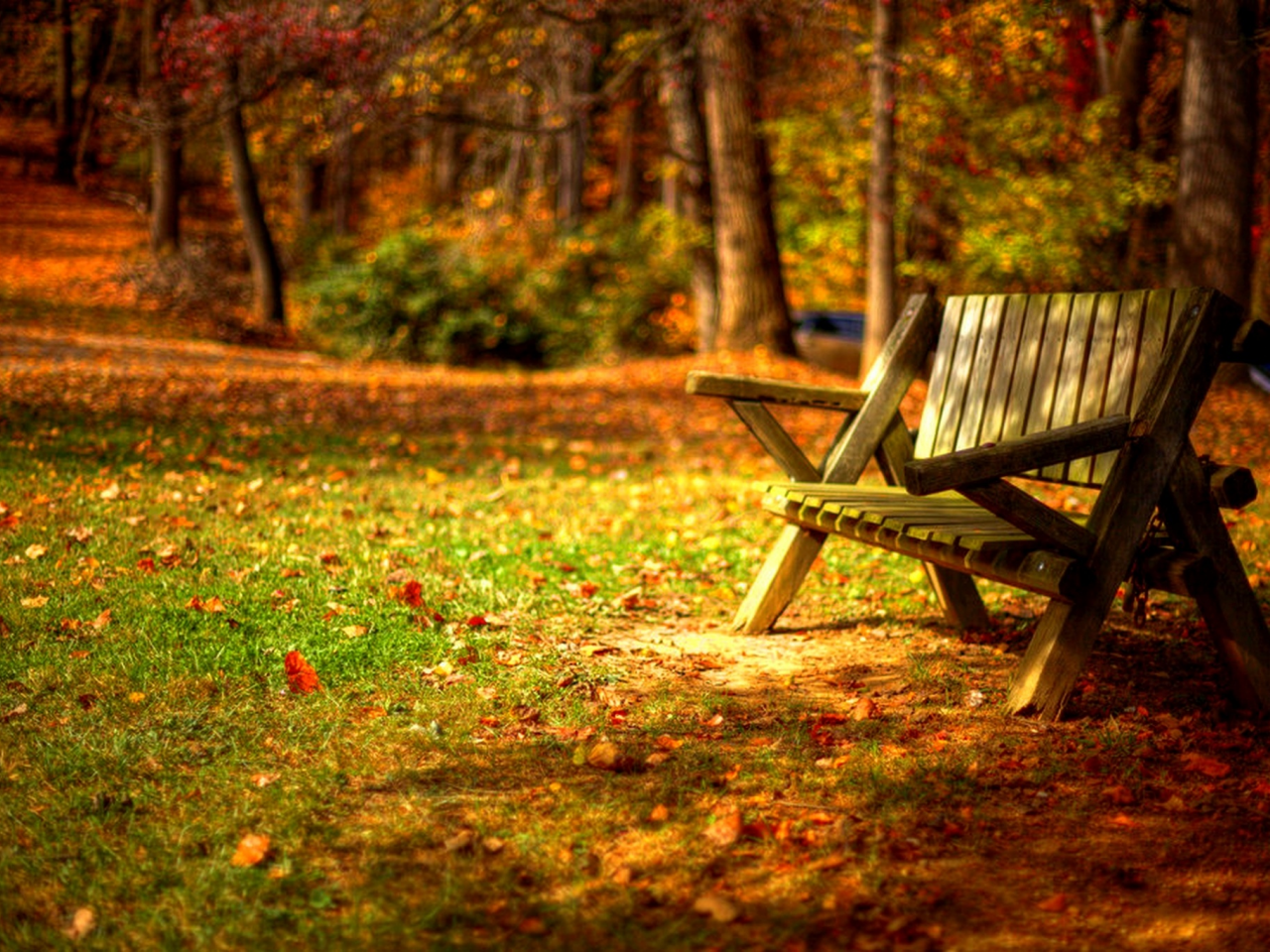 trees, road, листья, autumn, grass, park, forest, colors, leaves, hdr, nature, bench, walk