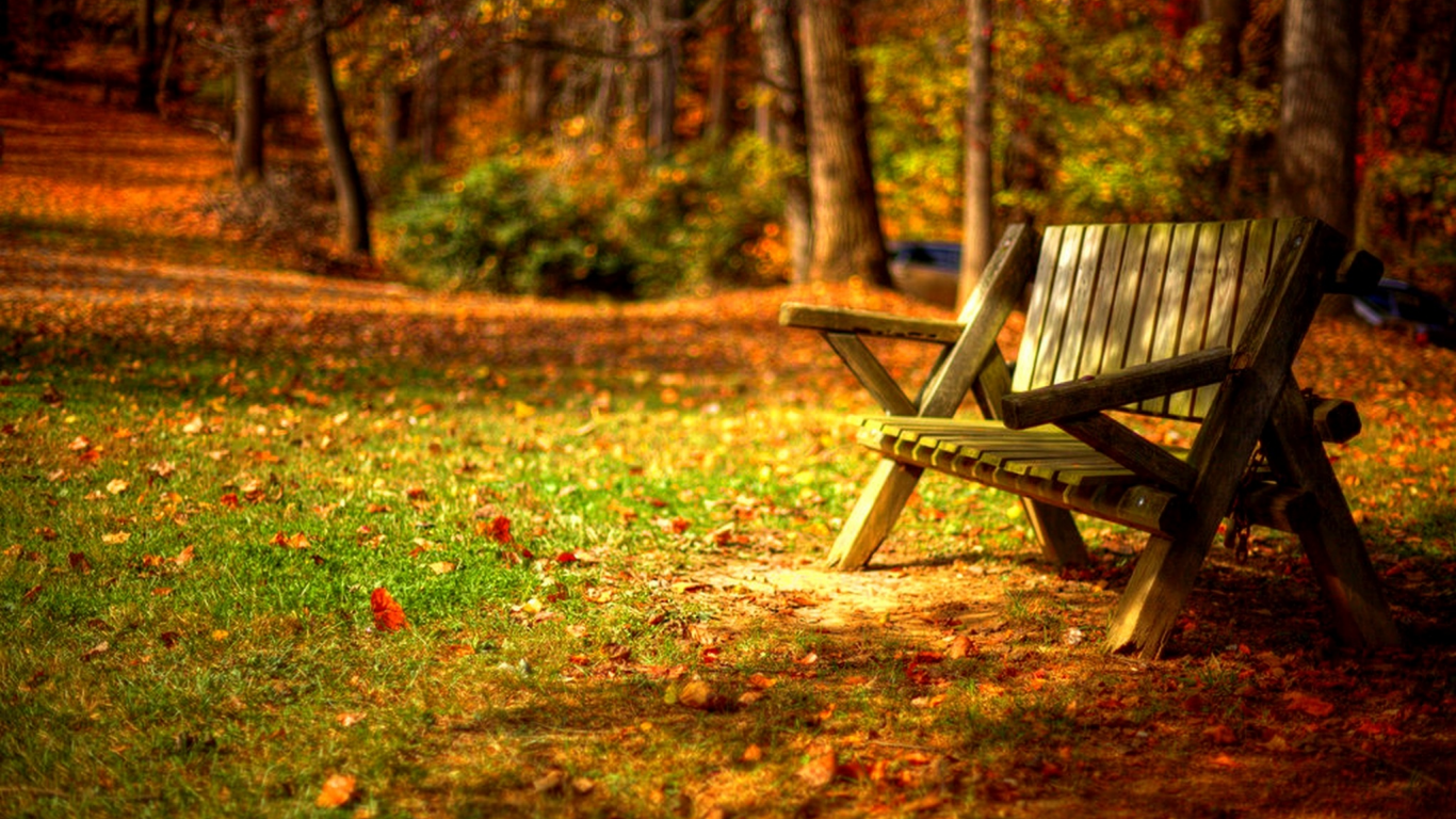 trees, road, листья, autumn, grass, park, forest, colors, leaves, hdr, nature, bench, walk