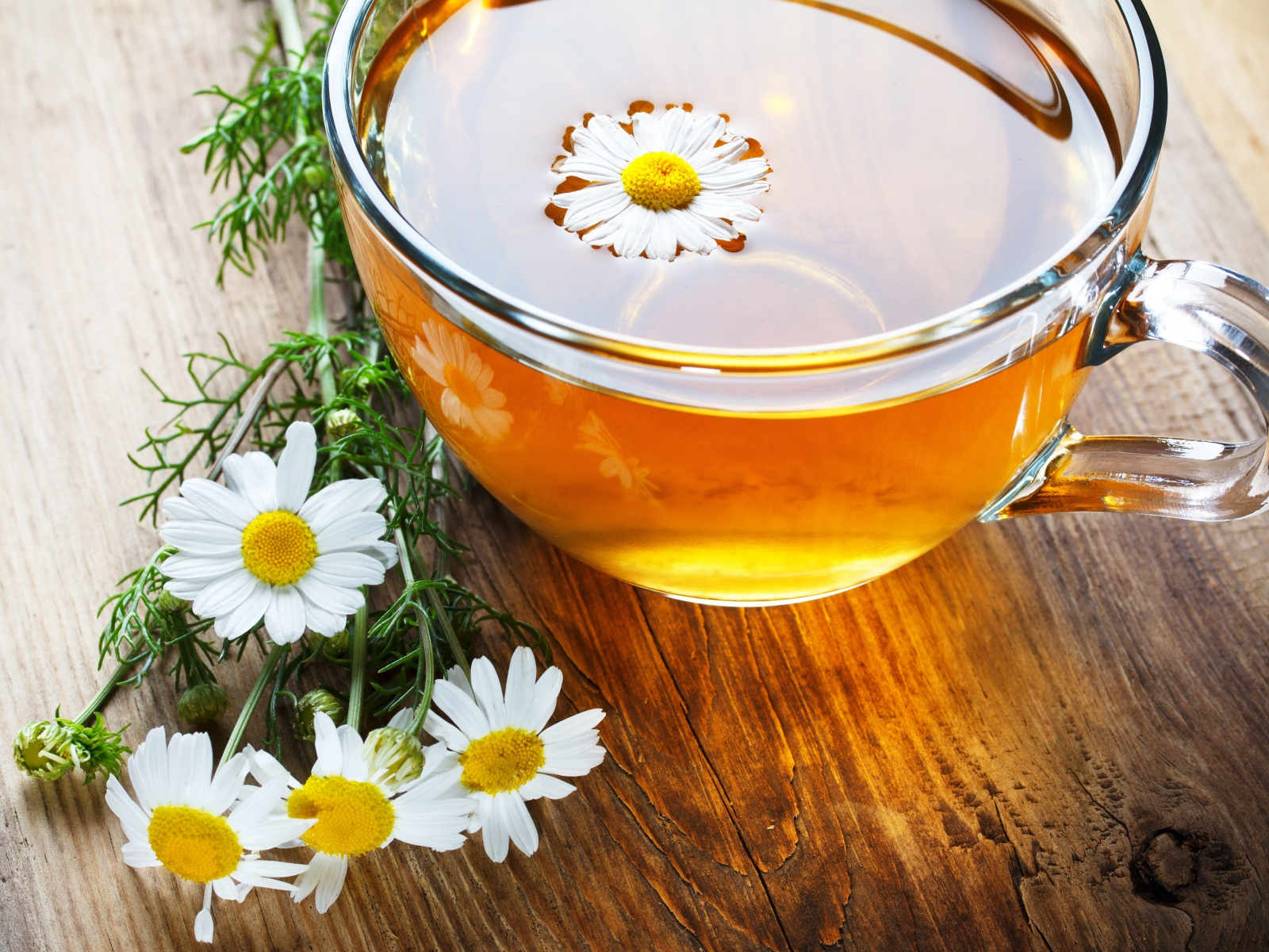 кружка, чашка, ромашка, настроения, чай, tea, цветы, flowers