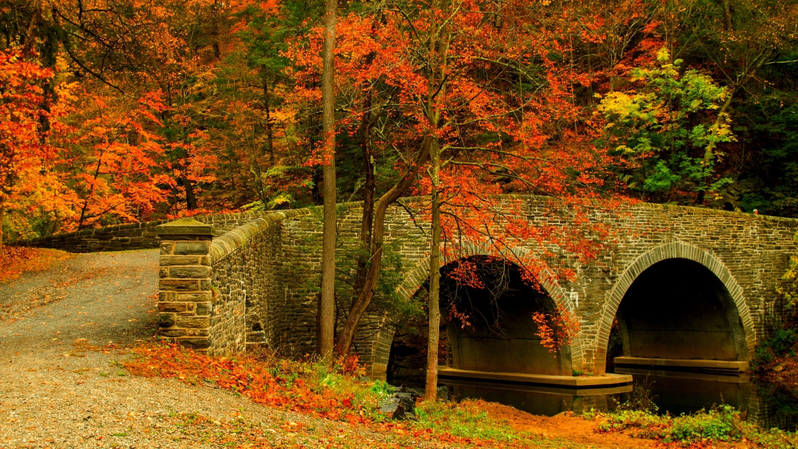 road, colorful, trees, forest, colors, bridge, walk, autumn, leaves, nature, fall, path, park