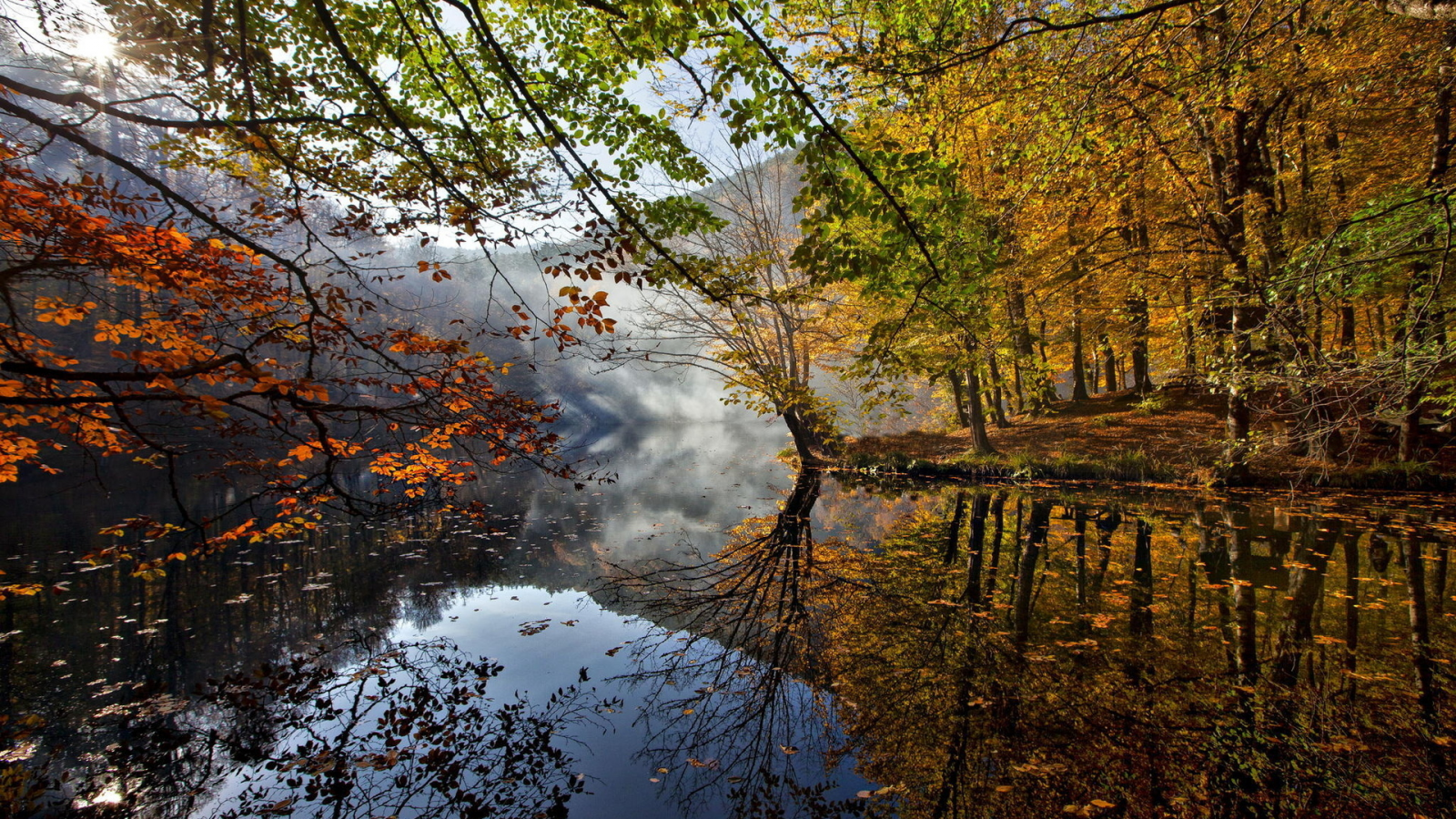 листья, осень, деревья, река.