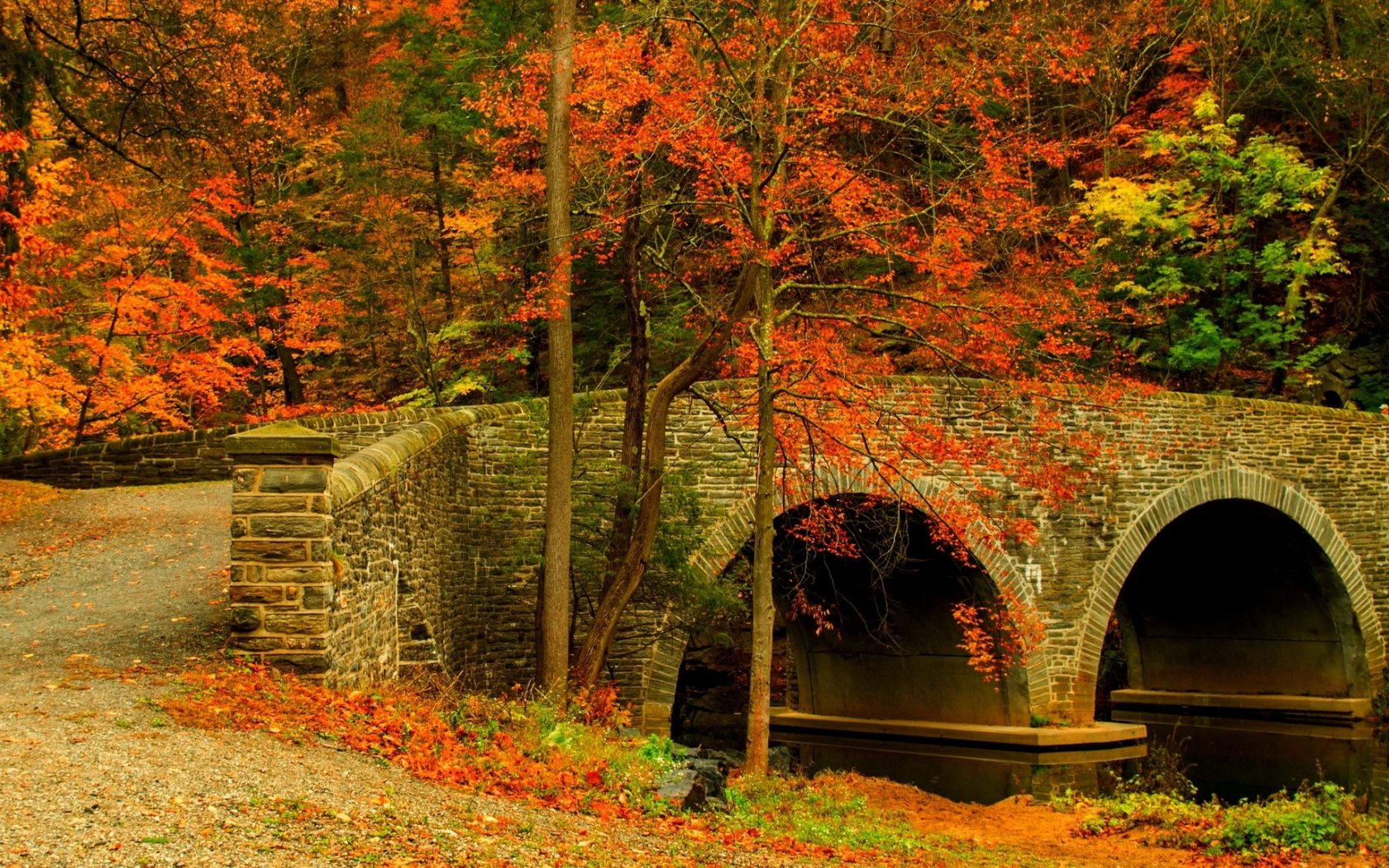 road, colorful, trees, forest, colors, bridge, walk, autumn, leaves, nature, fall, path, park