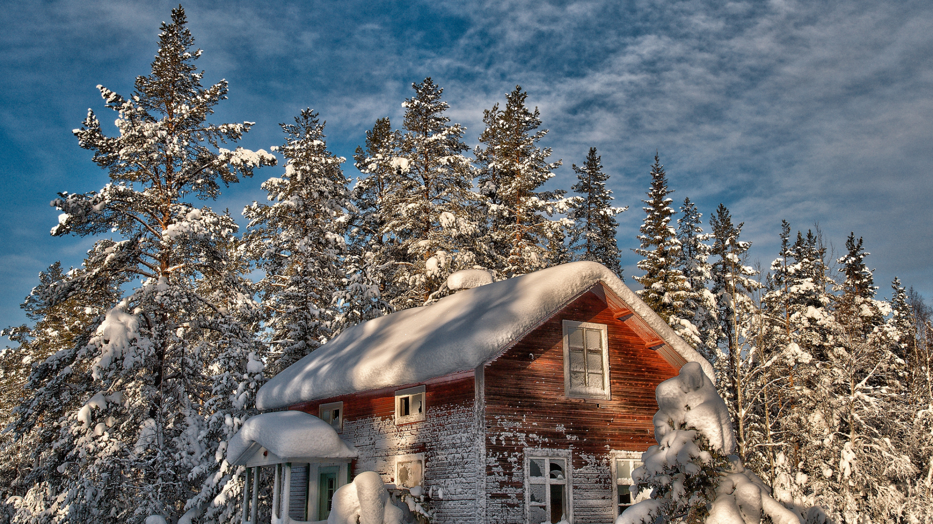 зима, деревья, елки, заброшенный, снег, старый, дом