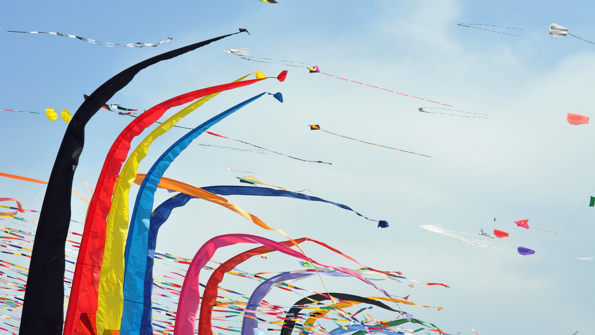 festival, kites, colori, aquiloni
