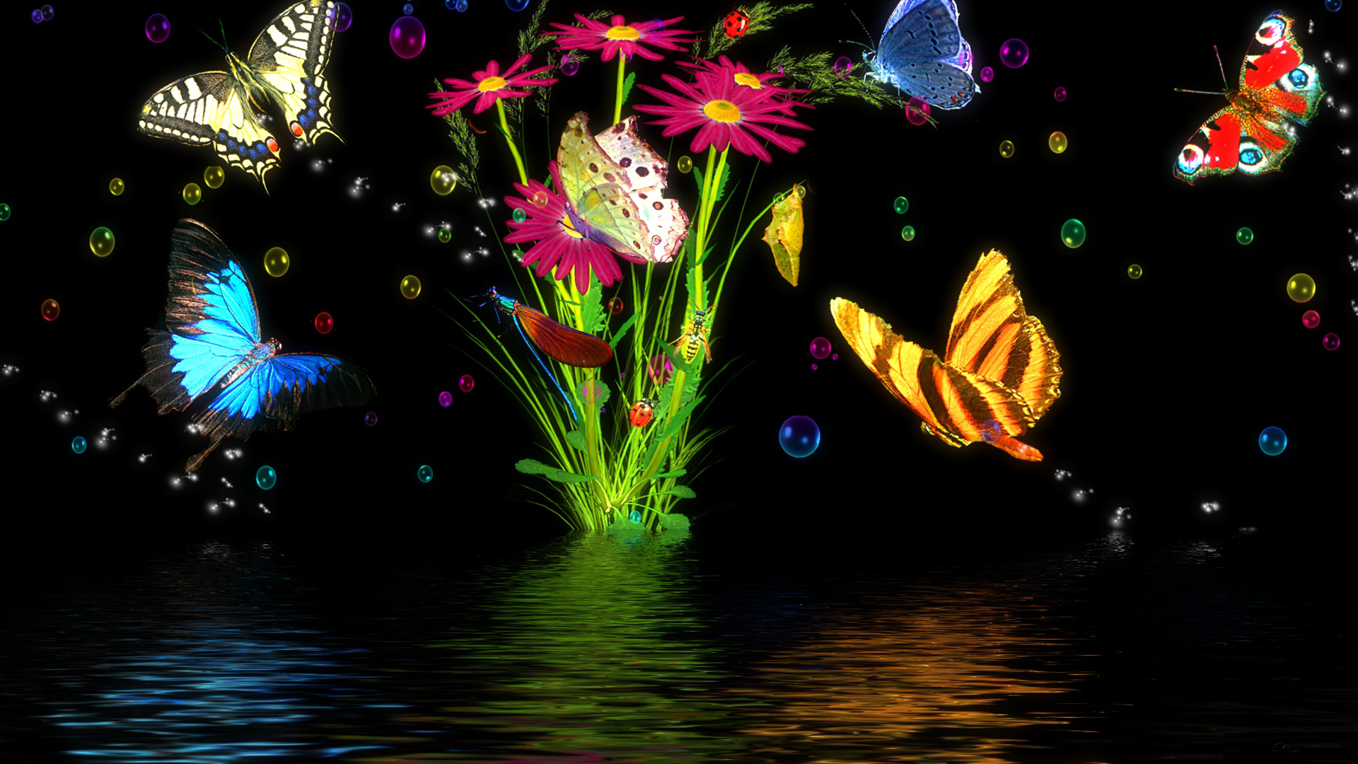 Ночь, вода, трава, свет, насекомые, бабочки.
