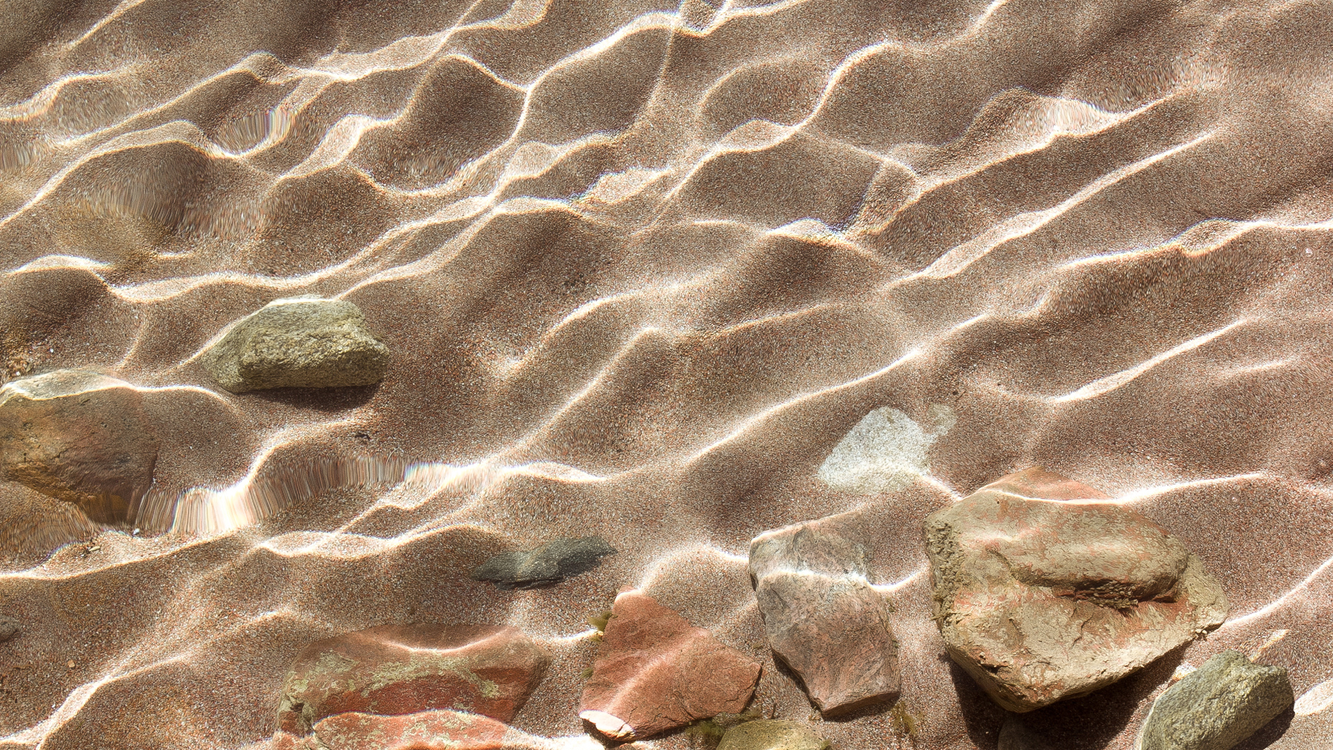 Вода, камни, песок, свет.