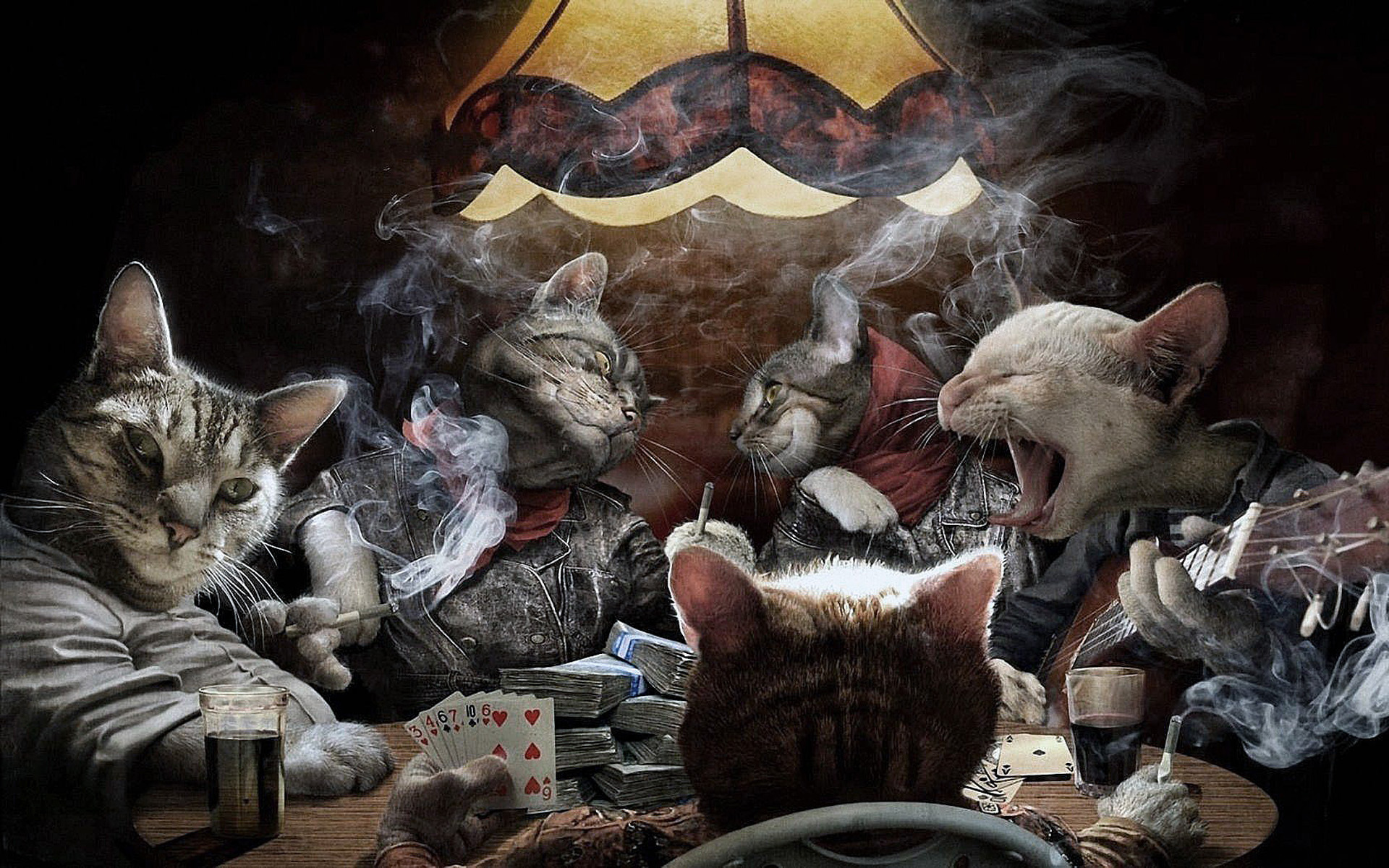 Коты, стол, карты, дым, кошачий катран.