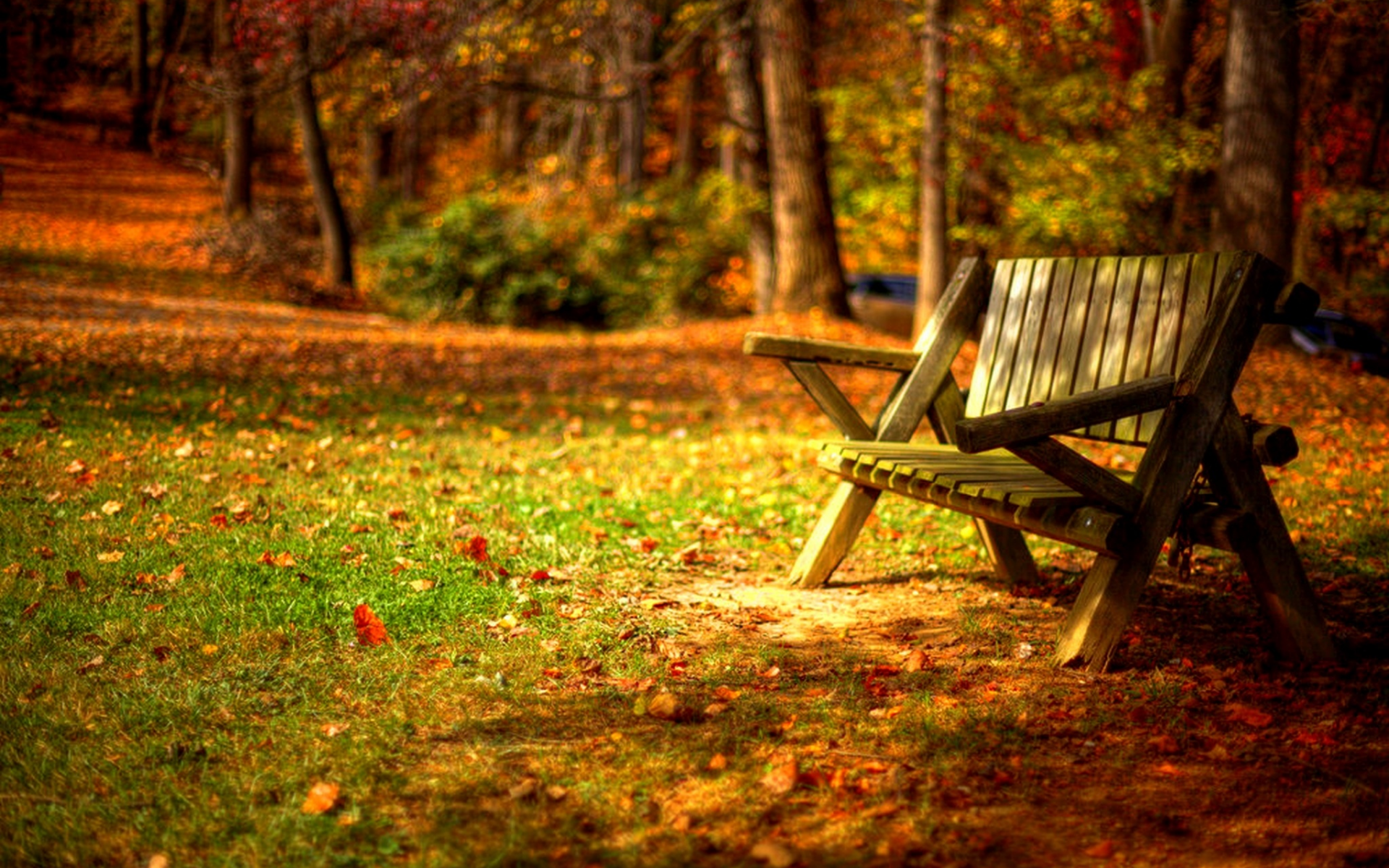 trees, road, листья, autumn, grass, park, forest, colors, leaves, hdr, nature, bench, walk