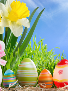 happy, easter, spring, sunshine, eggs, flowers, весна, солнце, пасха, яйца, цветы, нарциссы, трава