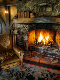 Дом, кресло, кот, камин, огонь, теплота, уют.