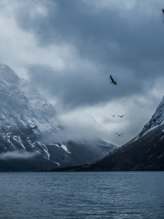 природа, реки, озера, птицы, залив, горы, норвегия