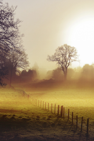 утро, поле, забор, пейзаж, туман