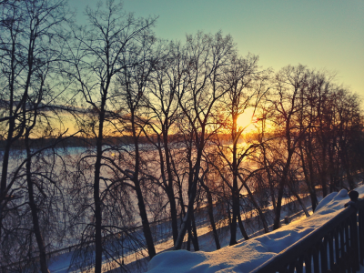 зима, река, деревья, снег, солнце, утро, восход, мороз