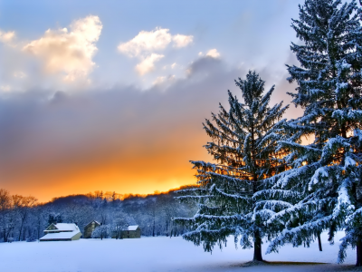 зима, деревья, пейзаж, природа, небо, закат, облака, снег