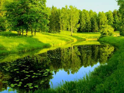 природа, деревья, зелень, река, отражения
