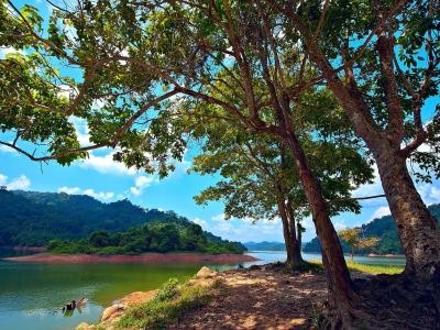 природа, реки, озера, деревья, озеро, остров, малайзия
