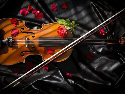 Фон, чёрный, скрипка, смычёк, розы.