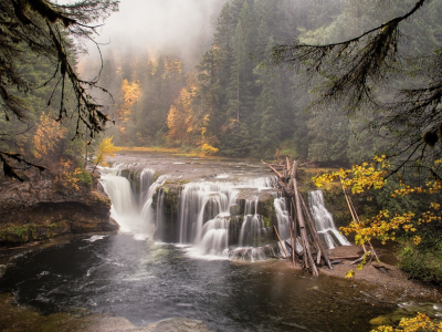 природа, водопады, водопад, река, лес, пейзаж