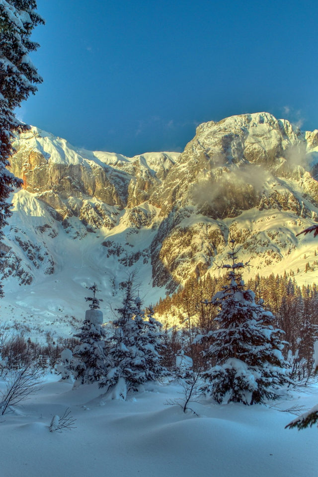 австрия, зима, альпы, снег, горы, деревья, природа, ель