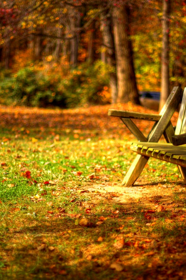 trees, road, листья, autumn, grass, park, forest, colors, leaves, hdr, nature, bench, walk