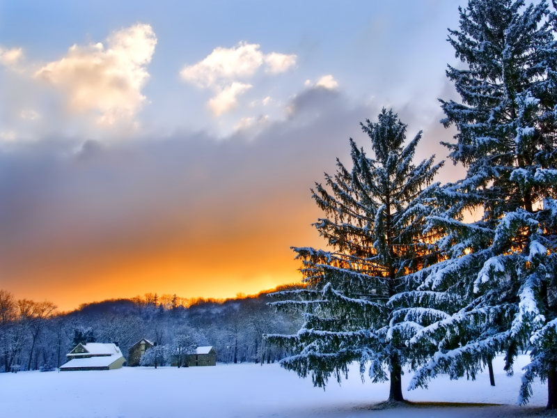 зима, деревья, пейзаж, природа, небо, закат, облака, снег