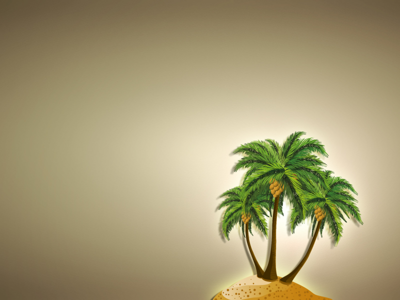 светлый фон, дерево, пальма, остров, минимализм, кокос