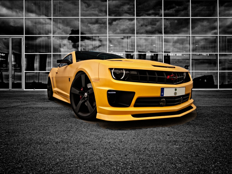 автомобили, camaro, bee, yellow