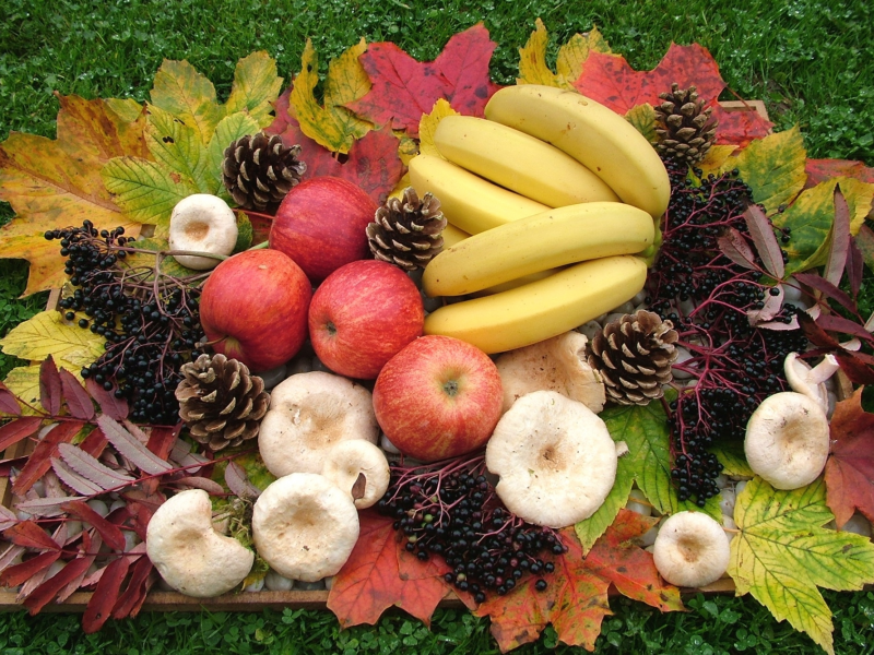 яблоки, бананы, шишки, грибы, листья
