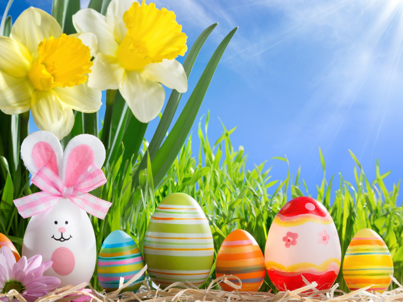 happy, easter, spring, sunshine, eggs, flowers, весна, солнце, пасха, яйца, цветы, нарциссы, трава