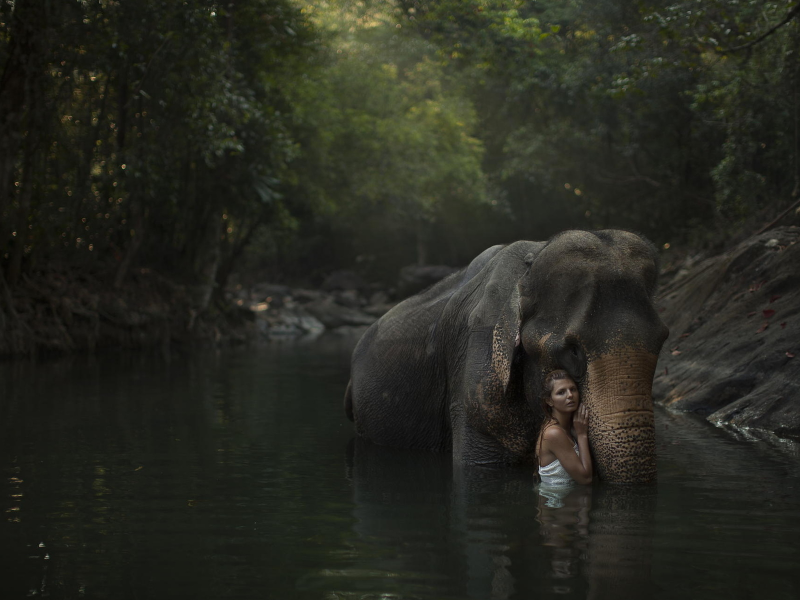 Обои девушка, модель, слон, лес, река