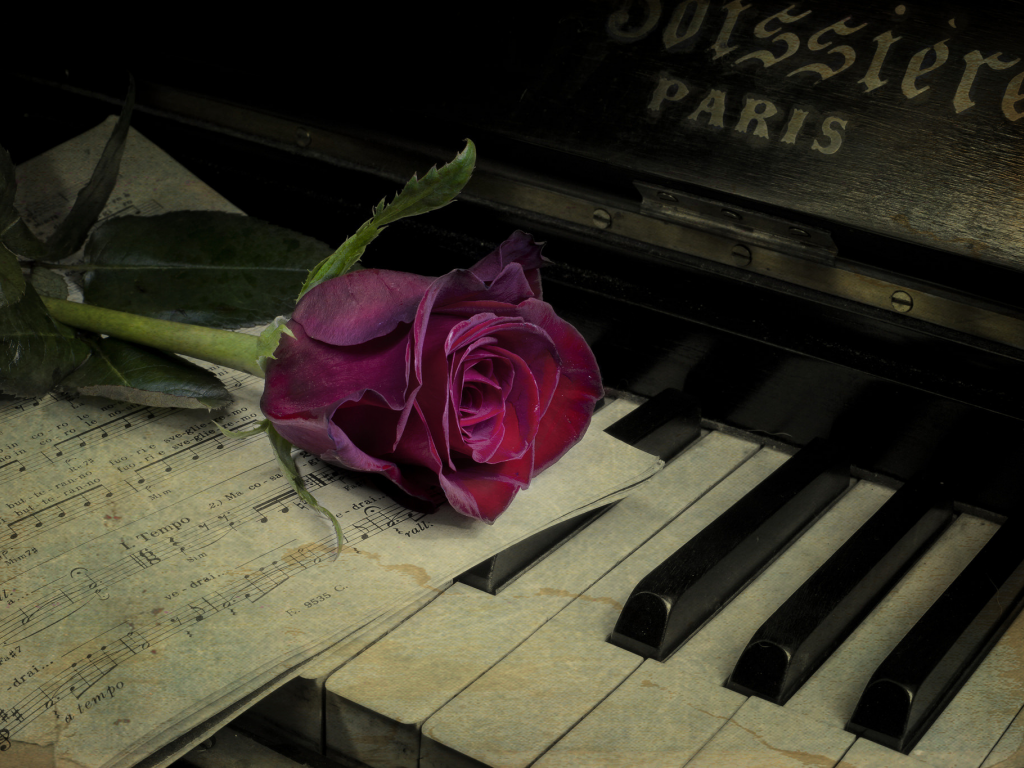 Фон, чёрный, пианино, клавиши, клава, клавиатура, розы.