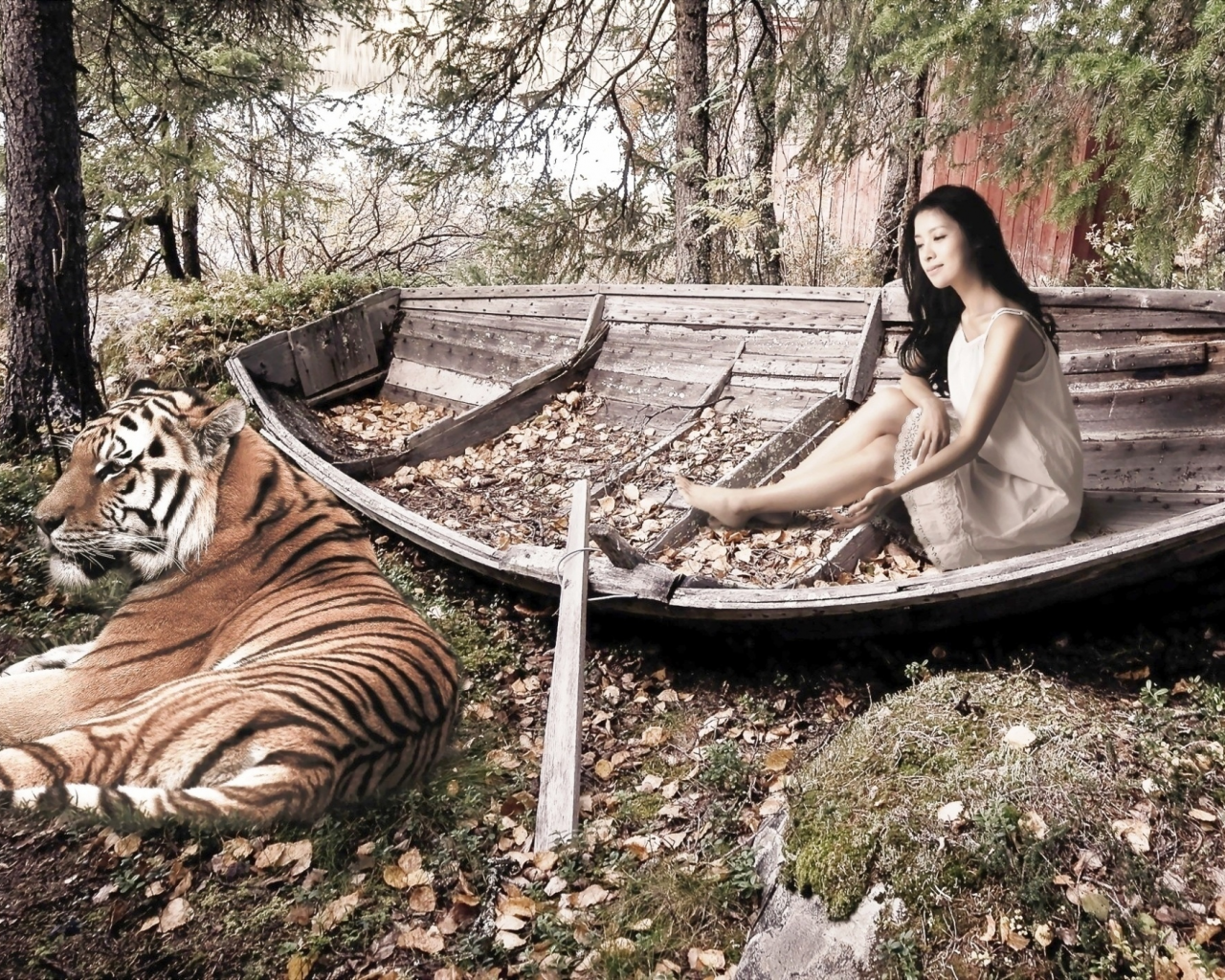 женщина, тигр, лодка, деревья, опавшие листья
