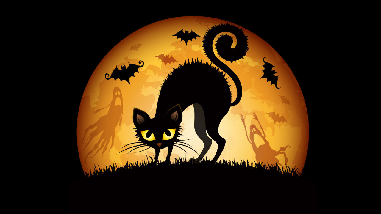кошка, призраки, луна, halloween, хэллоуин, летучие мыши