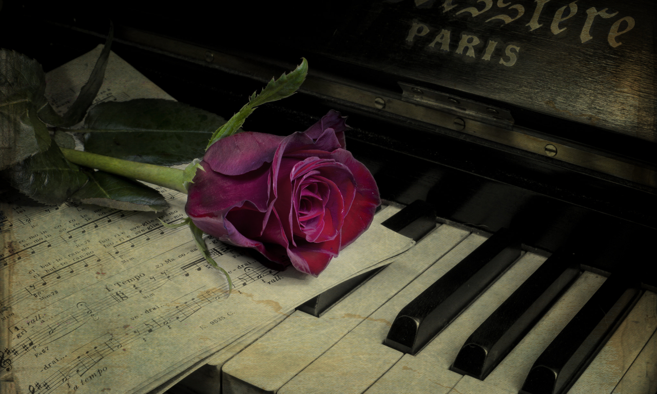 Фон, чёрный, пианино, клавиши, клава, клавиатура, розы.