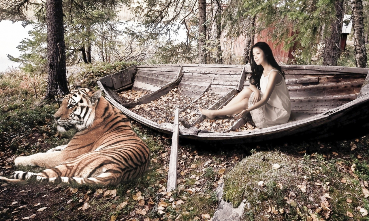 женщина, тигр, лодка, деревья, опавшие листья