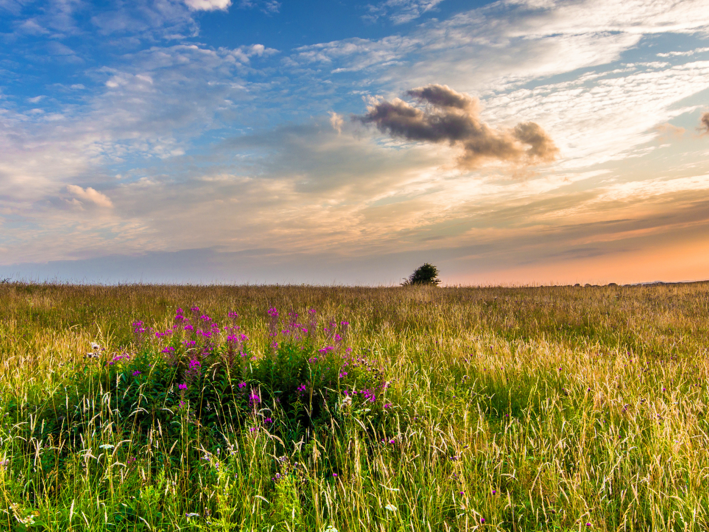 west sussex, англия, great britain, england, западный суссекс