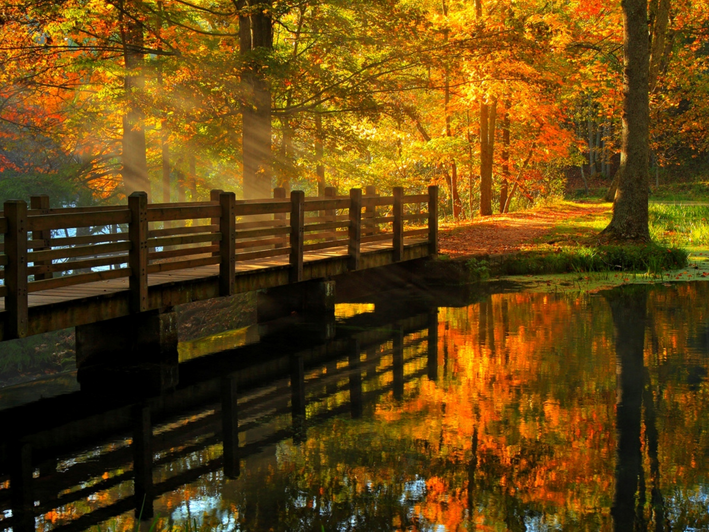 fall, alley, river, leaves, hdr, walk, trees, nature, view, water, forest, park, autumn, bridge