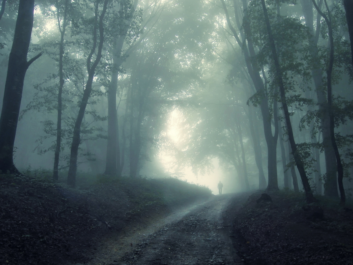 страх, туман, лес, призрак, человек, мрак