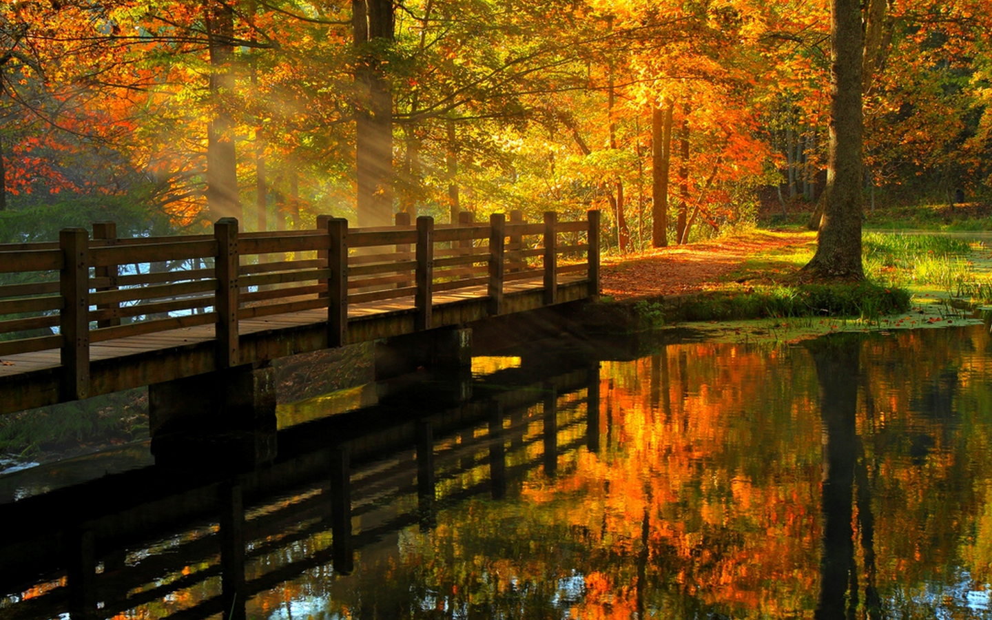 fall, alley, river, leaves, hdr, walk, trees, nature, view, water, forest, park, autumn, bridge