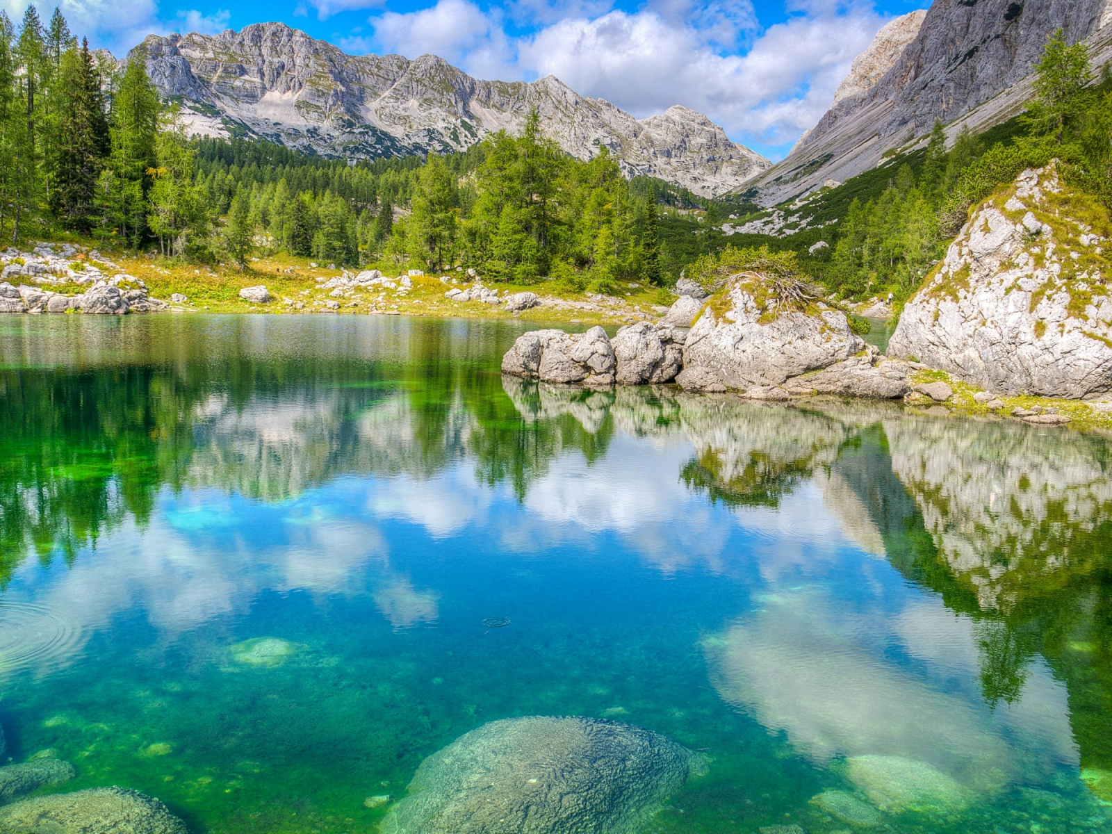 Словения, Triglav National Park, горы, лес, озеро, камни, деревья