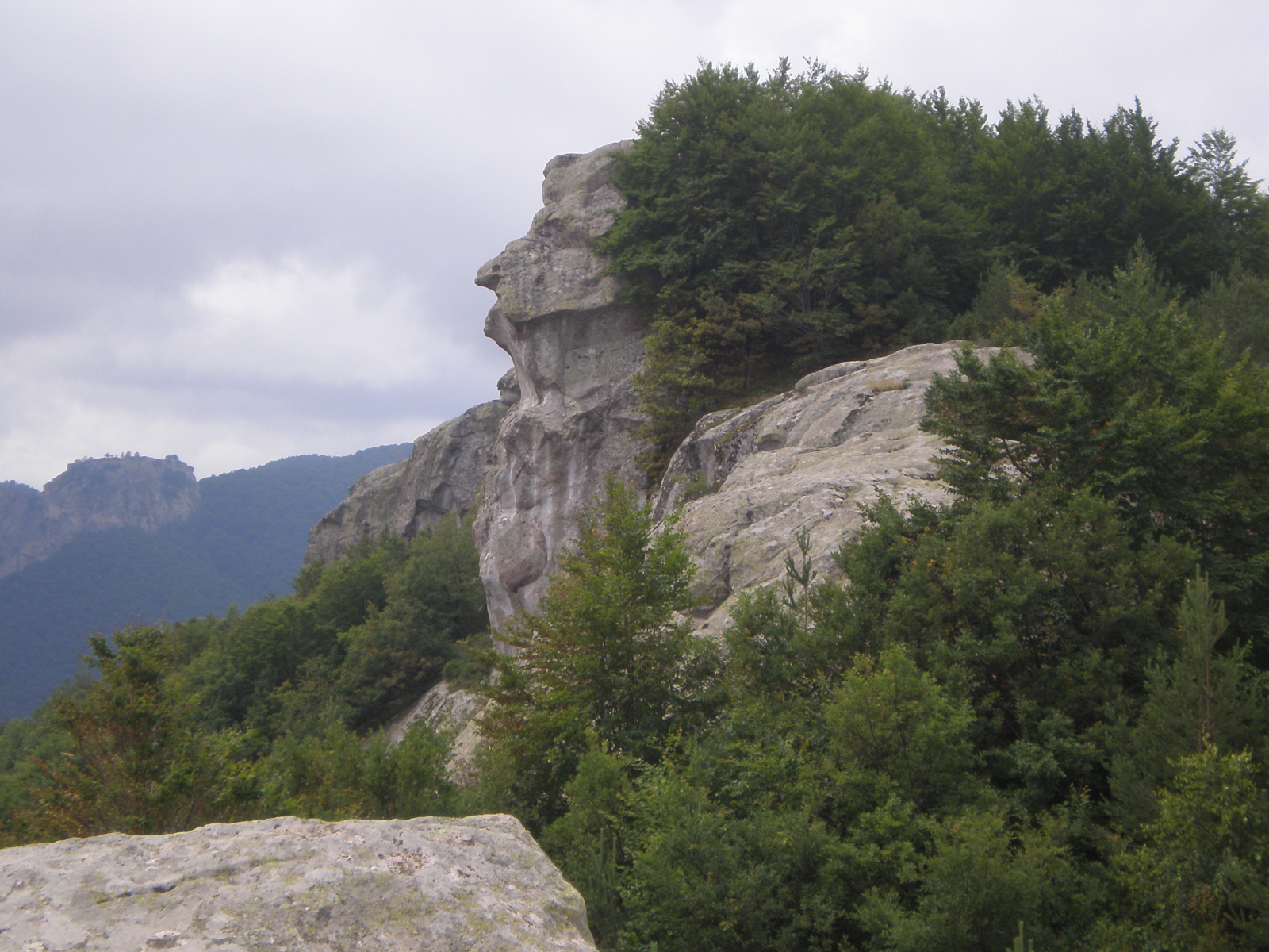 Белинташ, каменный сфинкс, Родопи, Родопские горы, Болгария, горы, деревья, лес, небо, природа, пейзаж