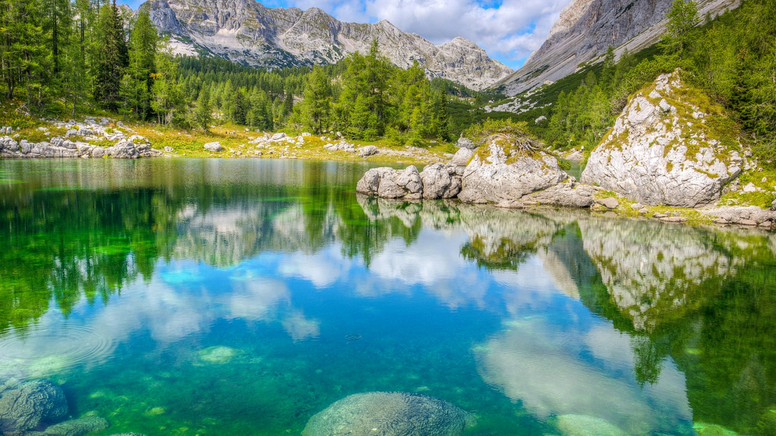 Словения, Triglav National Park, горы, лес, озеро, камни, деревья