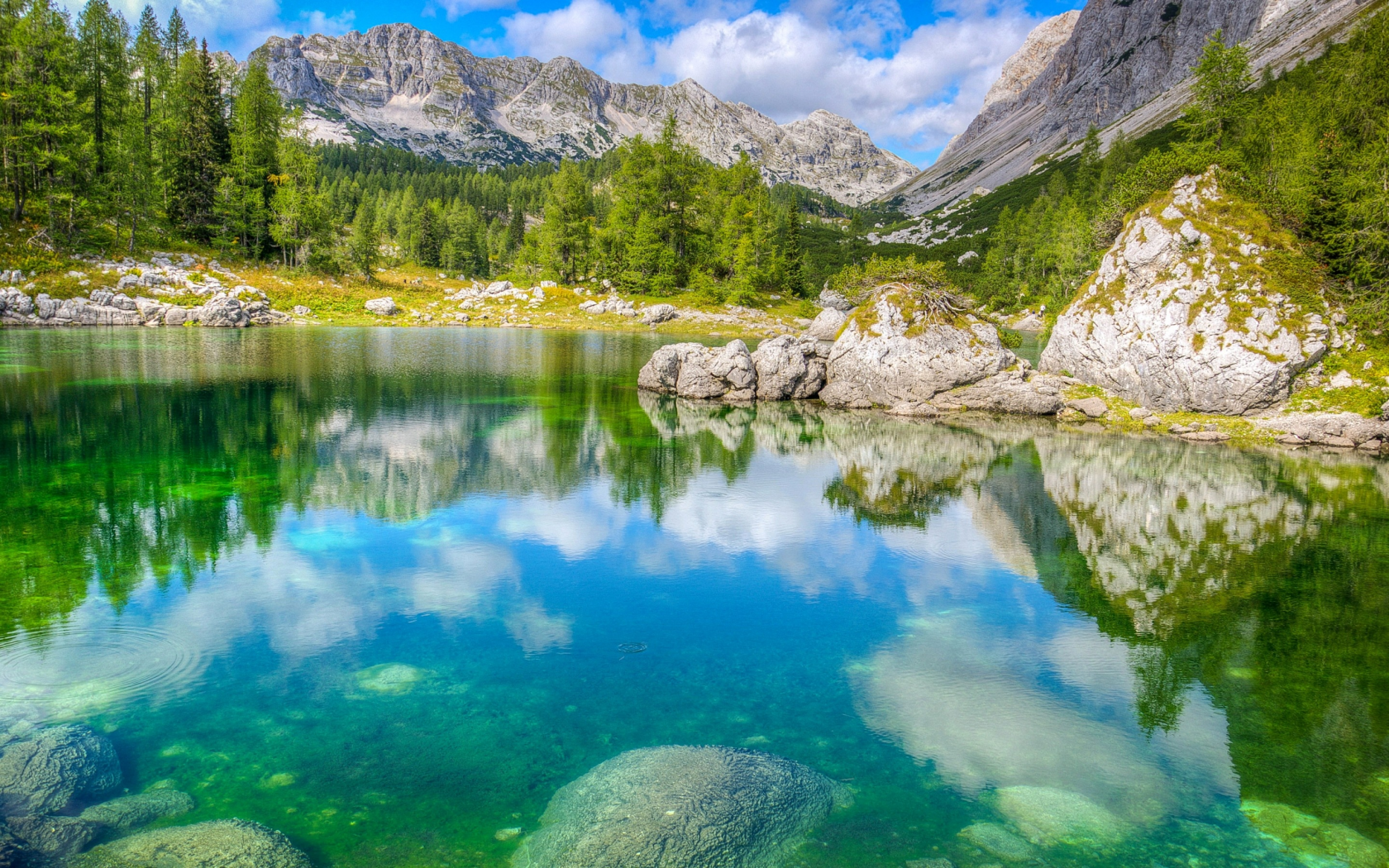 Словения, Triglav National Park, горы, лес, озеро, камни, деревья