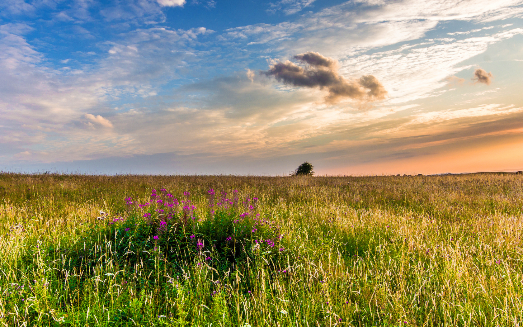 west sussex, англия, great britain, england, западный суссекс