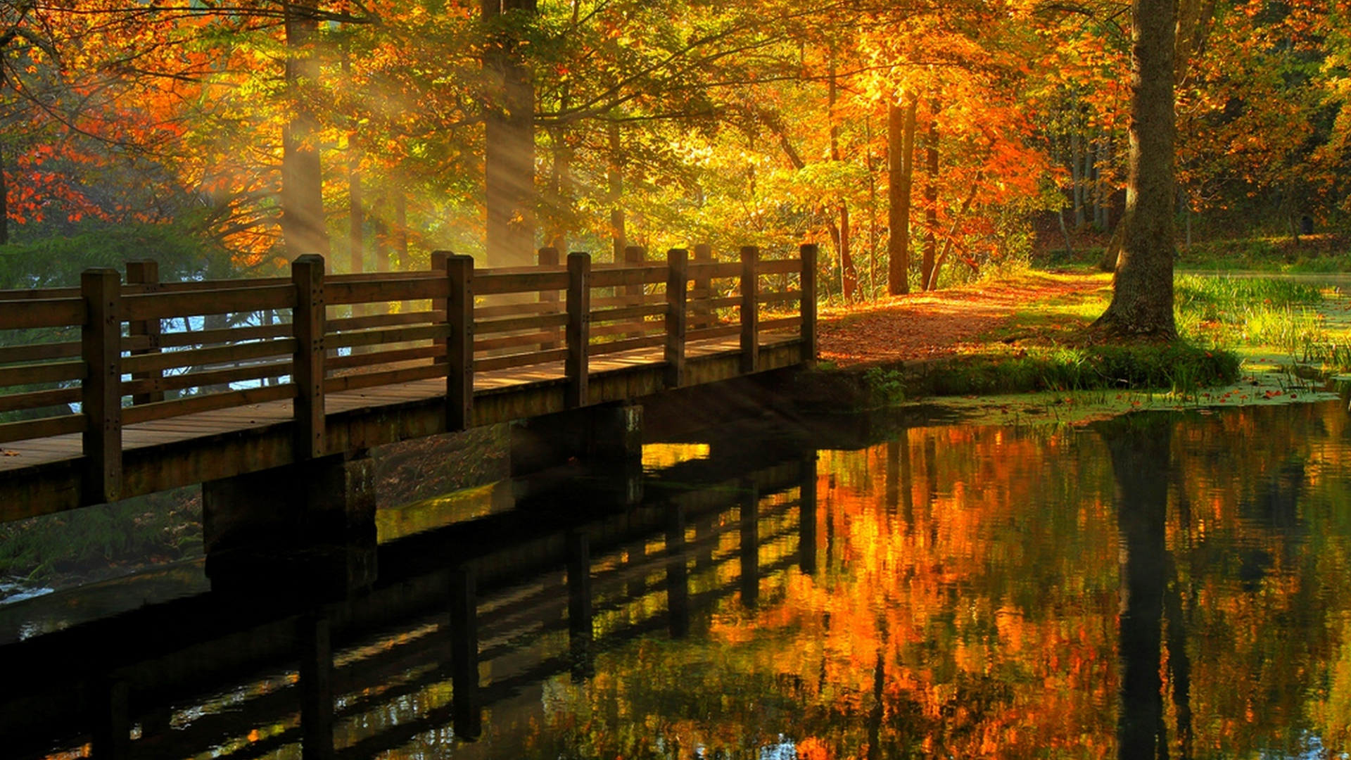 fall, alley, river, leaves, hdr, walk, trees, nature, view, water, forest, park, autumn, bridge